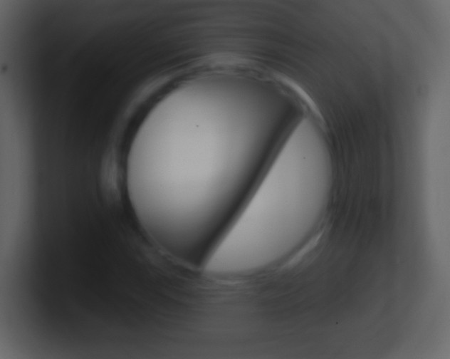X0000101451115200807071105