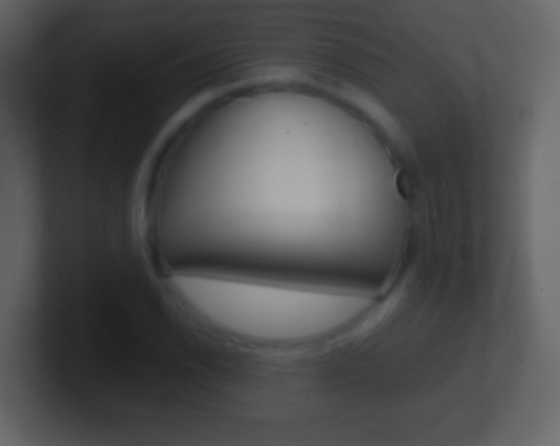 X0000101451118200807071105
