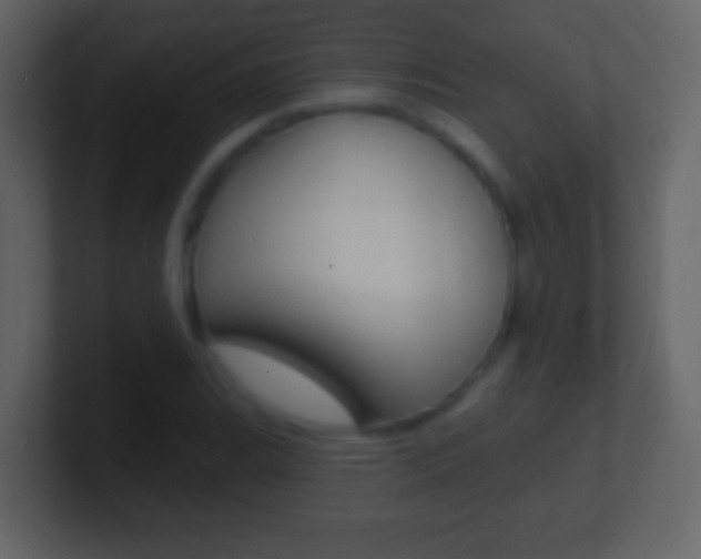 X0000101451119200807071105