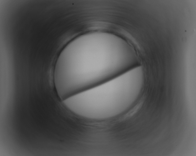 X0000101451121200807071105