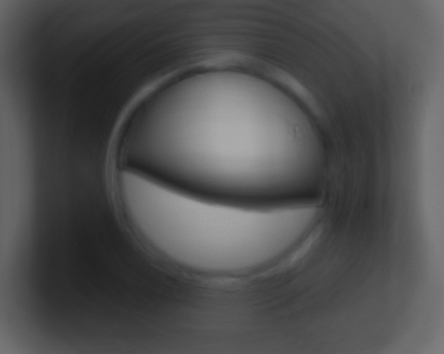 X0000101451122200807071105