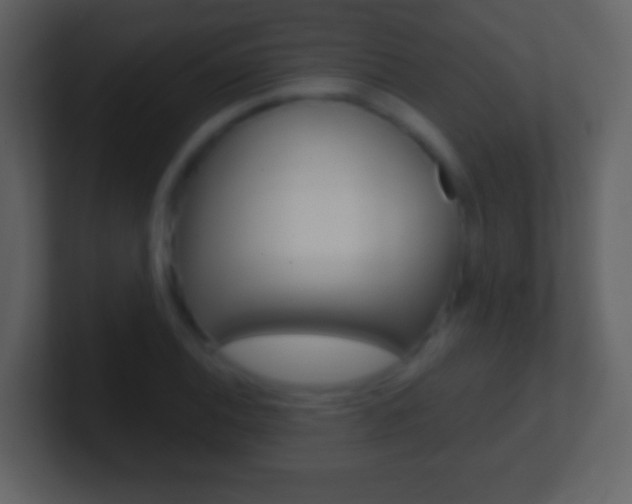 X0000101451124200807071105