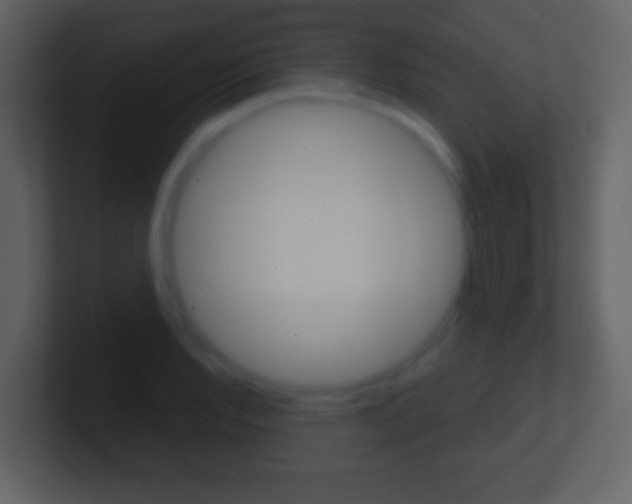 X0000101451128200807071105