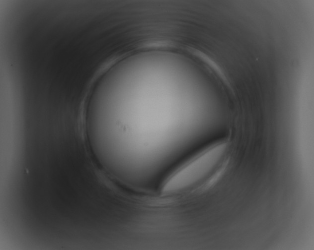 X0000101451129200807071105