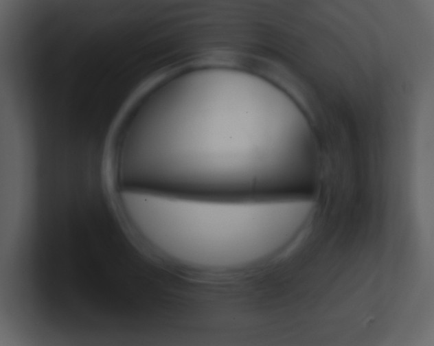 X0000101451131200807071105