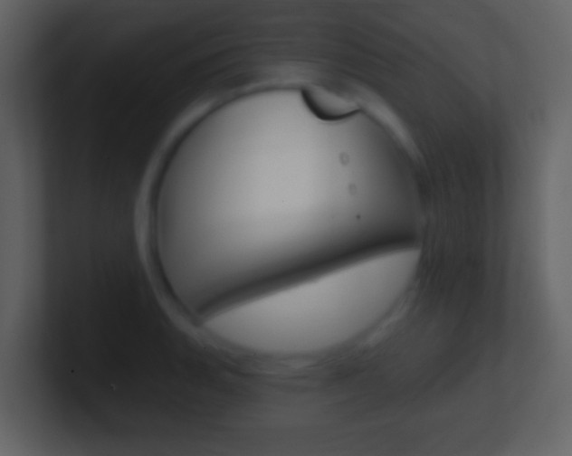 X0000101451135200807071105