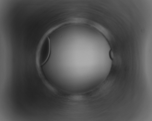 X0000101451136200807071105