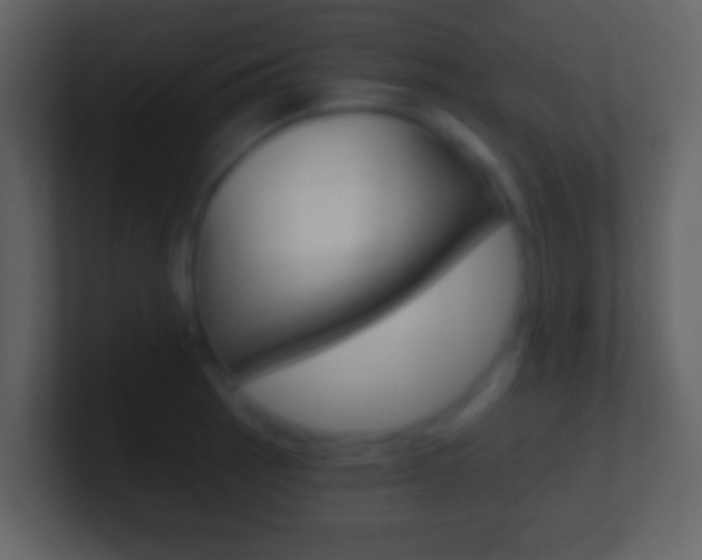X0000101451137200807071105
