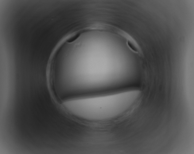 X0000101451138200807071105