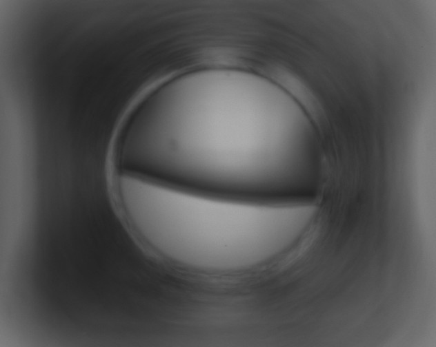 X0000101451141200807071105