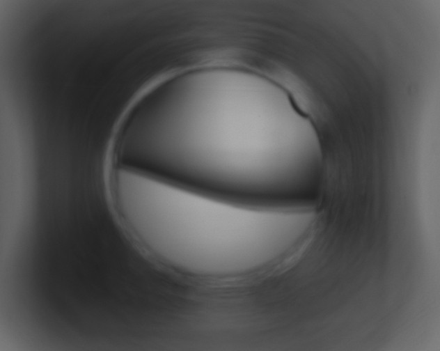 X0000101451142200807071105