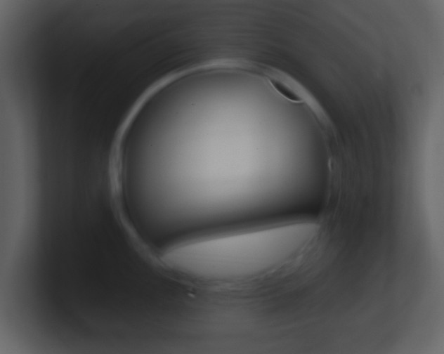 X0000101451148200807071105
