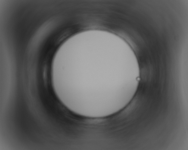 X0000101451150200807071105