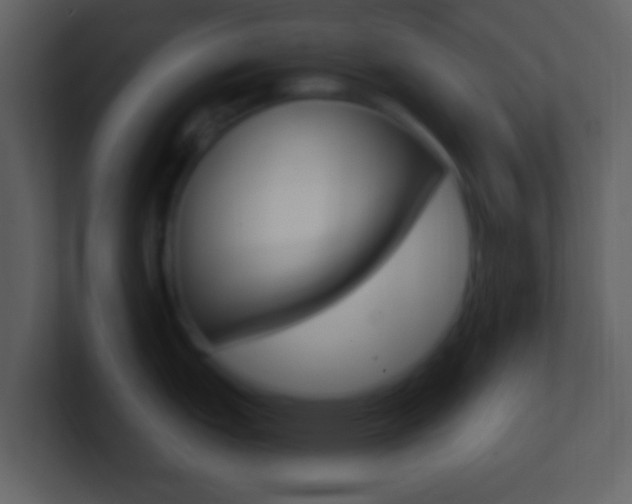X0000101451151200807071105