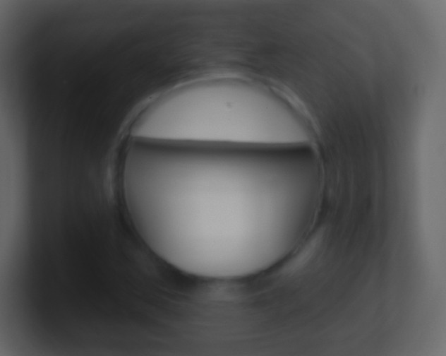 X0000101451163200807071105