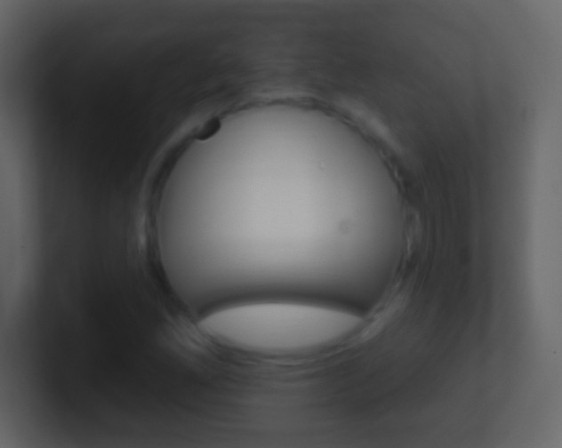 X0000101451165200807071105