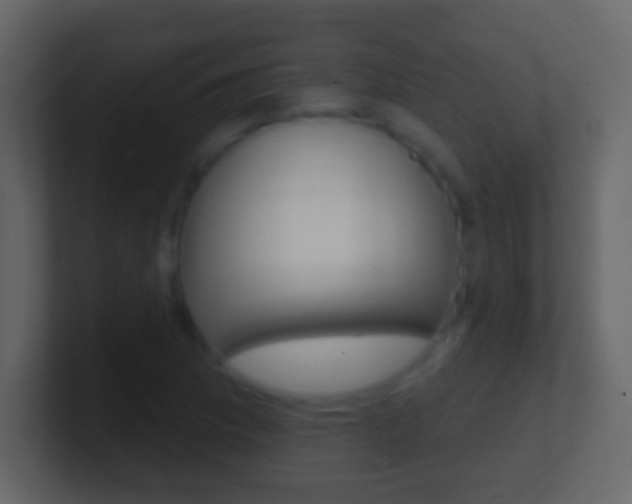 X0000101451169200807071104