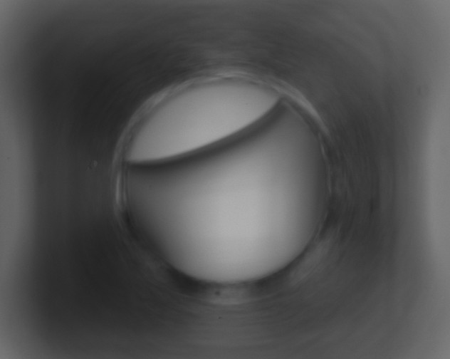 X0000101451171200807071104