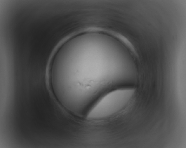 X0000101451183200807071104
