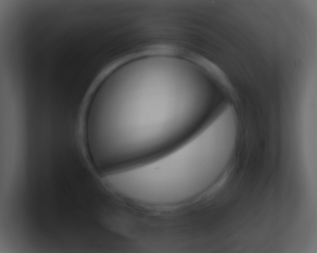 X0000101451192200807071104