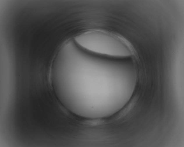 X0000101451193200807071104