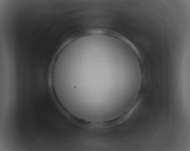 X0000101451194200807071104