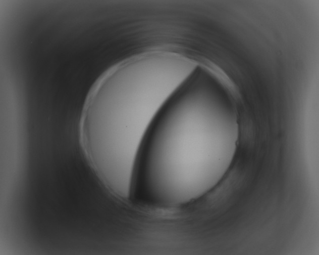 X0000101451196200807071104
