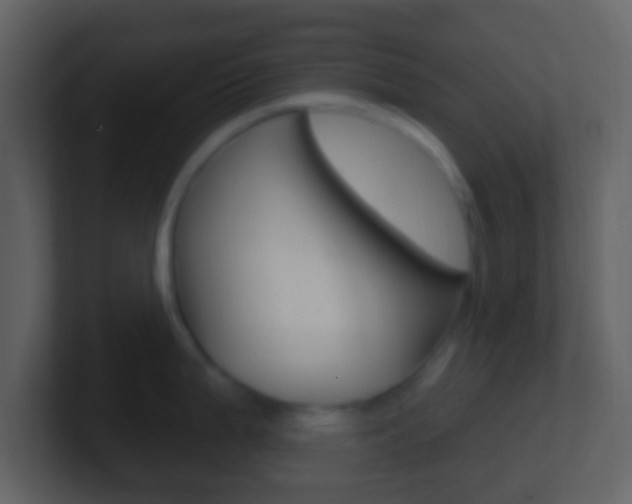 X0000101451199200807071104