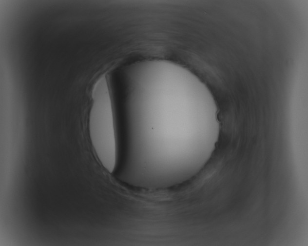 X0000101451201200807071103