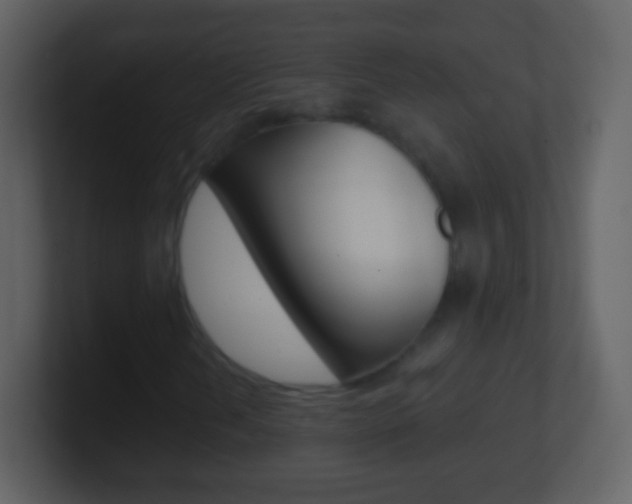 X0000101451202200807071103