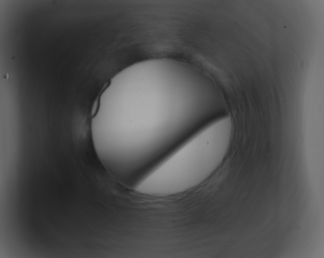 X0000101451204200807071103