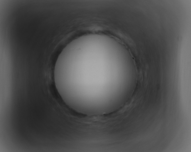 X0000101451205200807071103
