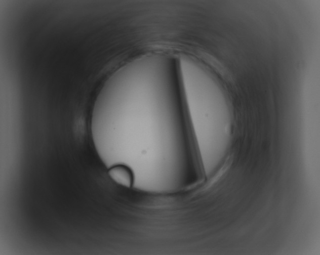 X0000101451209200807071103