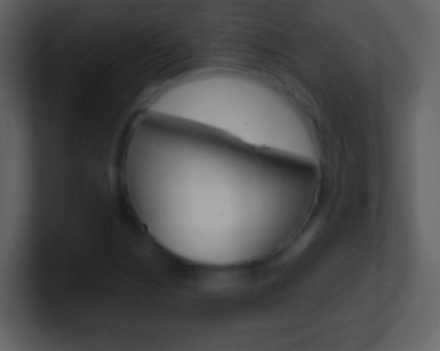 X0000101451210200807071103