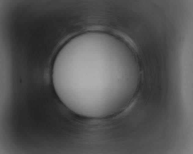 X0000101451212200807071103