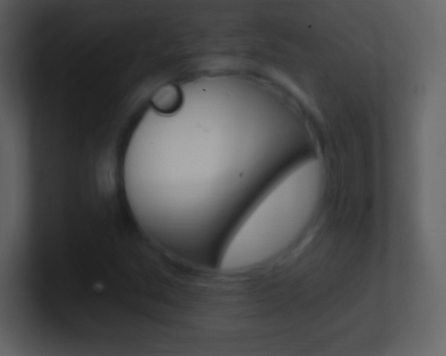 X0000101451213200807071103