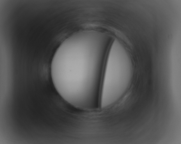 X0000101451217200807071103