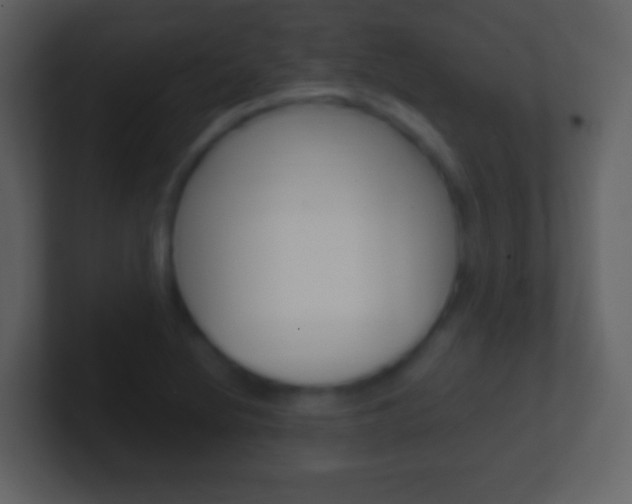 X0000101451220200807071104