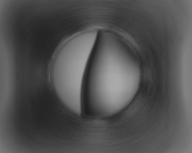 X0000101451226200807071104