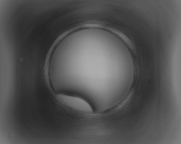 X0000101451240200807071104