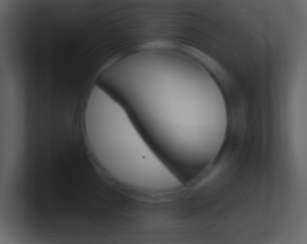 X0000101451241200807071104