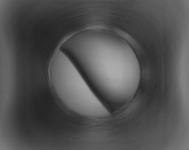 X0000101451242200807071104