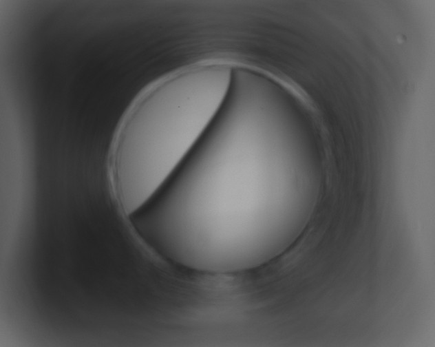 X0000101451248200807071104