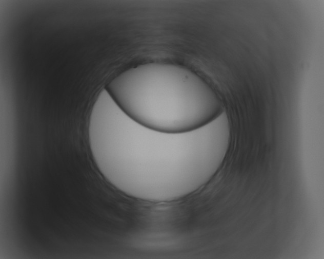 X0000101451251200807071103