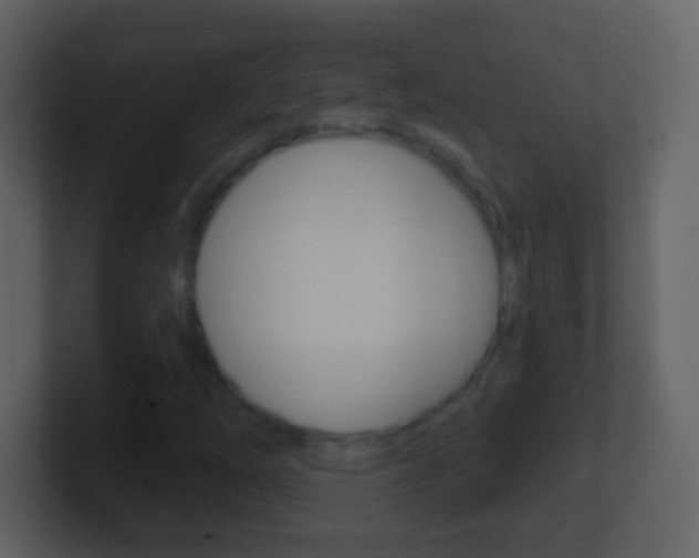X0000101451254200807071103