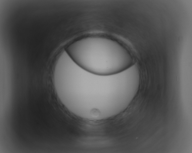 X0000101451255200807071103