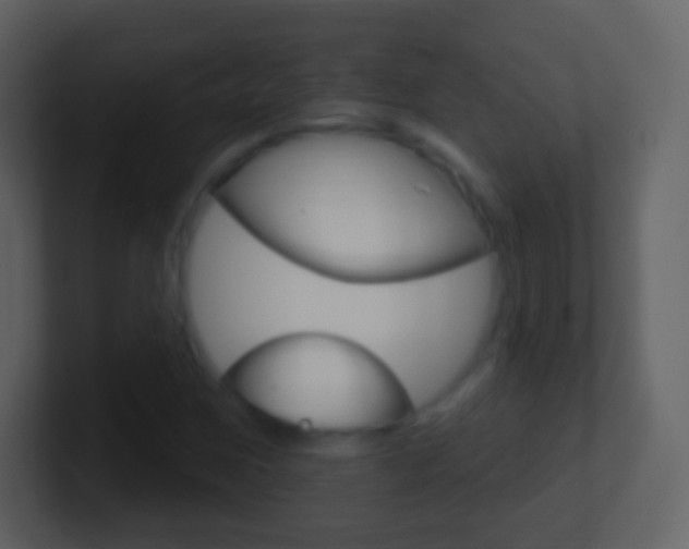 X0000101451259200807071103