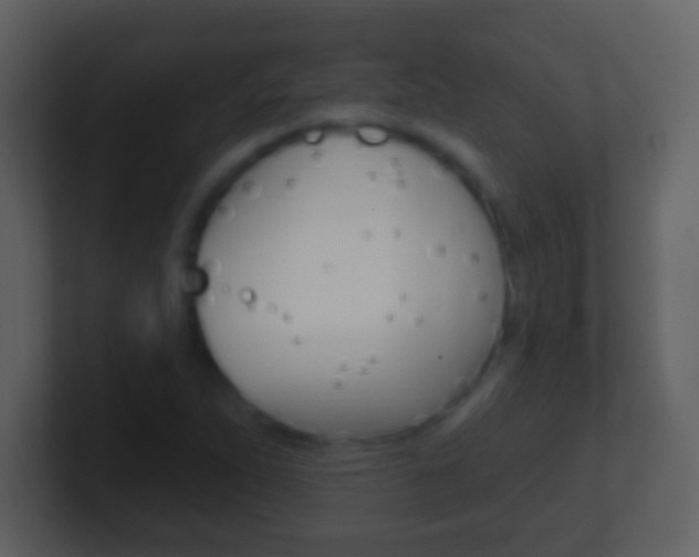 X0000101451263200807071103
