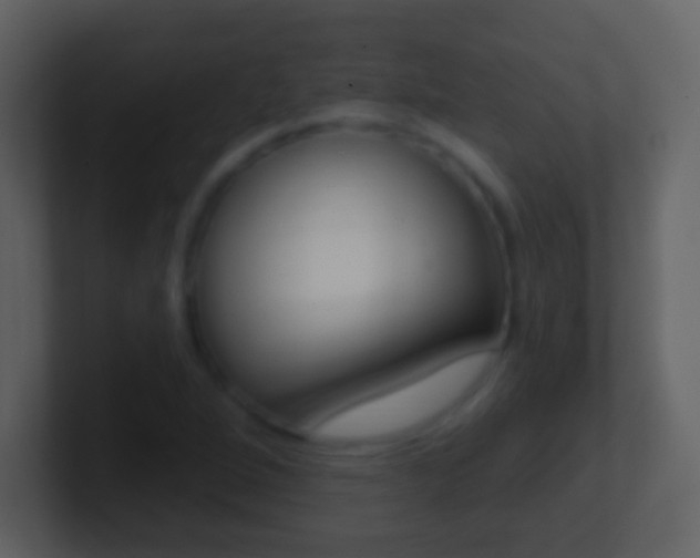 X0000101451264200807071103