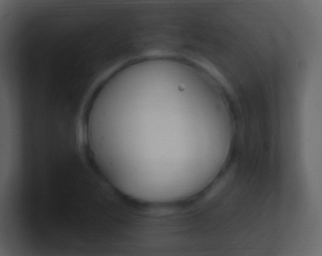 X0000101451269200807071103
